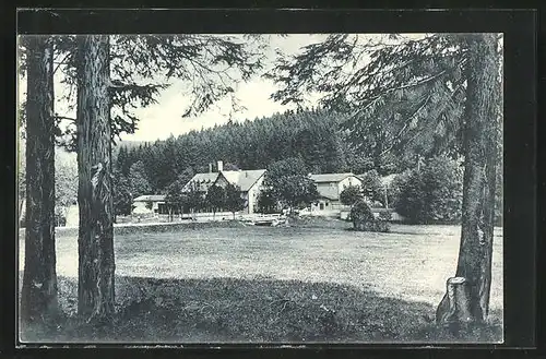 AK Braunlage / Harz, Waldmühle