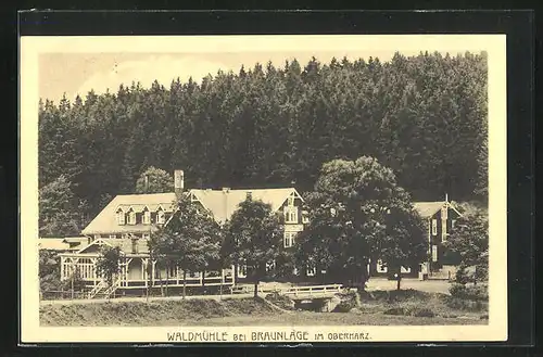 AK Braunlage / Harz, Waldmühle