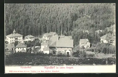 AK Kipsdorf / Erzgeb., Hotel Fürstenhof aus der Vogelschau