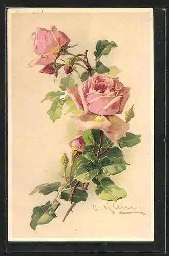 Künstler-AK Catharina Klein: Rosa Rosenblüten