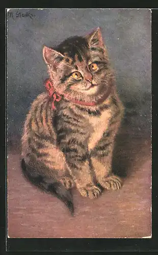 Künstler-AK Junge Katze mit Halsband