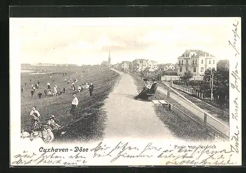 AK Nordseebad Cuxhaven-Döse, Partie vom Seedeich