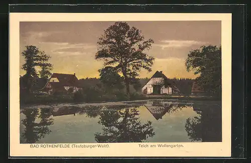 AK Bad Rothenfelde, Teich am Wellengarten