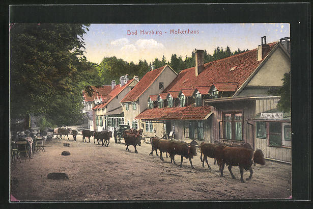 AK Bad Harzburg, Molkenhaus Nr. 10425368 oldthing