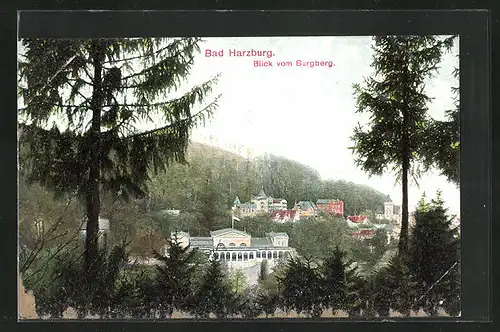AK Bad Harzburg, Blick vom Burgberg