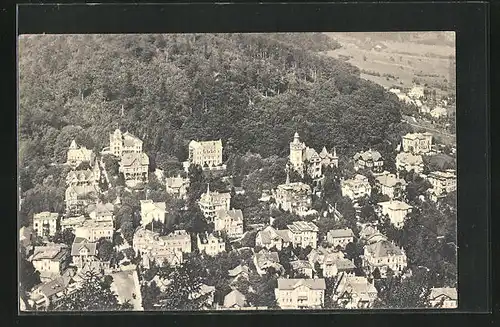 AK Bad Harzburg, Villenkolonie vom kleinen Burgberg aus gesehen