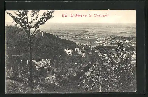 AK Bad Harzburg, Ortsansicht von den Ettersklippen aus gesehen