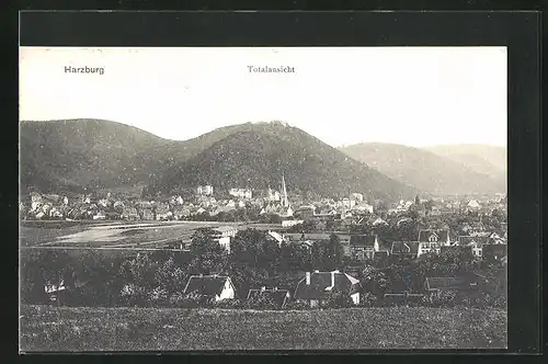 AK Bad Harzburg, Gesamtansicht