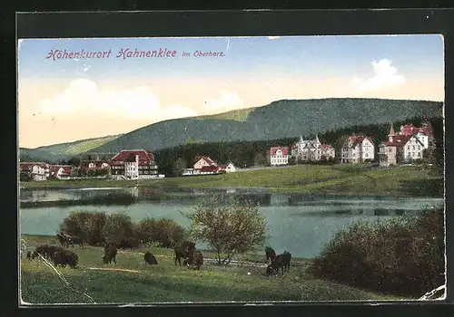 AK Hahnenklee / Oberharz, Ortspartie aus der Vogelschau