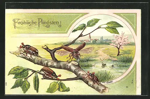 Präge-AK Fröhliche Pfingsten, Maikäfer auf einem Birkenast