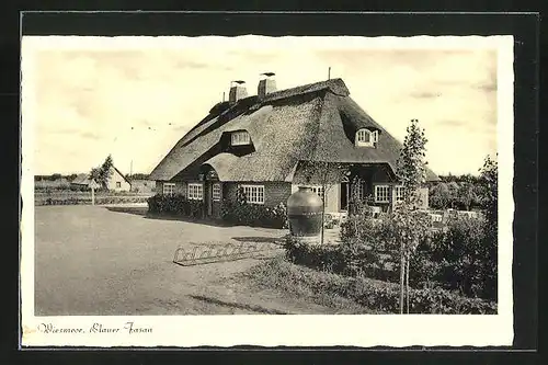 AK Wiesmoor, Gasthaus Blauer Fasan