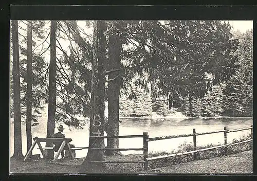 AK Braunlage (Oberharz), Mann auf einer Bank am Neuen Teich