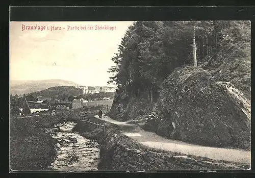 AK Braunlage im Harz, Partie bei der Steinklippe