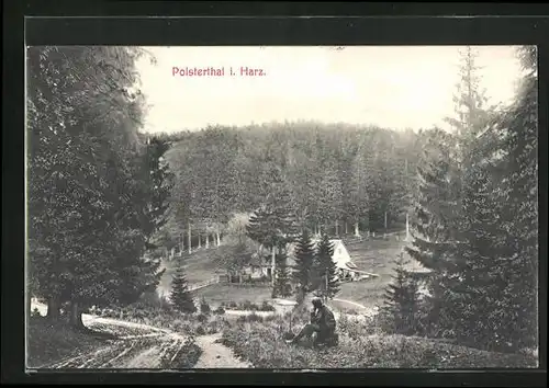 AK Clausthal im Harz, Blick ins Polsterthal