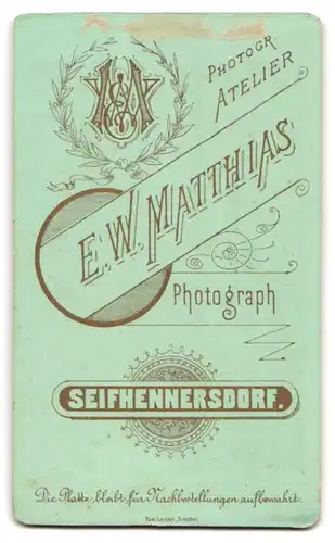 Fotografie E. W. Matthias, Seifhennersdorf, junges Mädchen mit Puffärmeln auf Balustrade lehnend