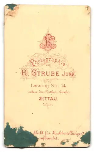 Fotografie H. Strube, Zittau, Lessing-Strasse 14, Portrait netter junger Mann mit leichtem Bart