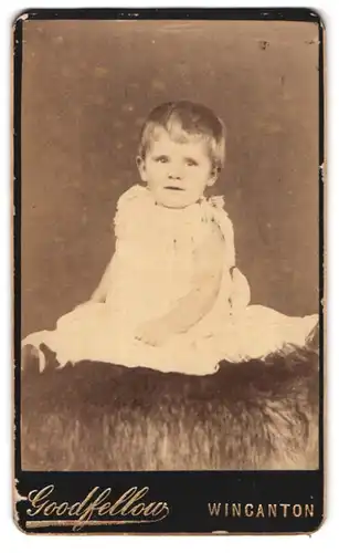 Fotografie Goodfellow, Wincanton, Portrait niedliches Kleinkind im Kleid auf Fell sitzend
