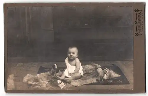 Fotografie Anton Hillenbrand, Schwabmünchen, Oberer Markt 90, Portrait niedliches Kleinkind im weissen Hemd mit Spielzeug