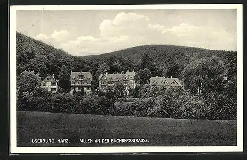 AK Ilsenburg, Villen an der Buchenstrasse