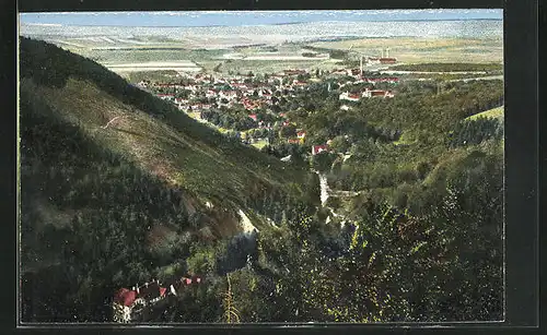 AK Ilsenburg /Harz, Ort vom Ilsenstein gesehen