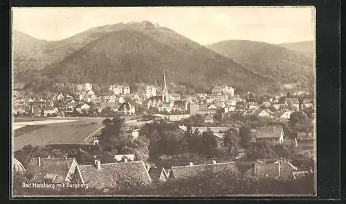 AK Bad Harzburg, Ortspartie mit Burgberg