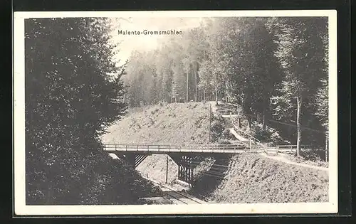 AK Malente /Gremsmühlen, Eisenbahntrasse und Wald