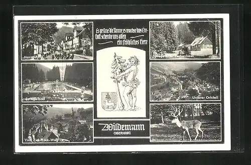 AK Wildemann /Harz, Gasthaus Spiegeltaler Zechenhaus, Spiegelbad, Zick-Zack-Weg
