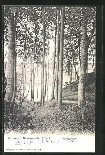AK Timmendorfer Strand, Wolfsschlucht