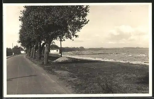 AK Haffkrug, Blick auf die Bucht