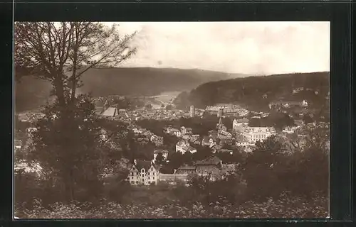 AK Hann. Münden, Ortsansicht aus der Vogelschau