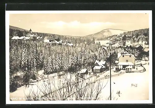 AK Schierke /Harz, Winterberg und Barenberg im Winter