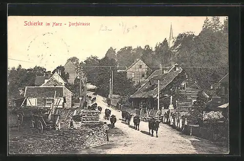 AK Schierke /Harz, Dorfstrasse mit Kühen