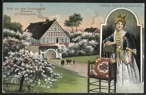 AK Jork, Bauernhaus mit Kirschblüte, Altländer Braut mit Nationaltracht