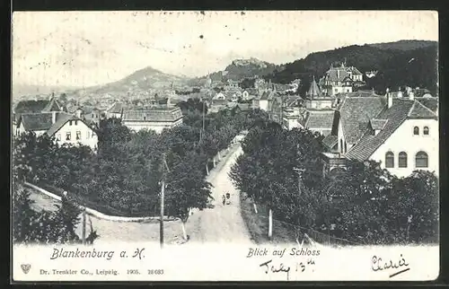 AK Blankenburg /Harz, Teilansicht vom Ort mit Blick auf das Schloss