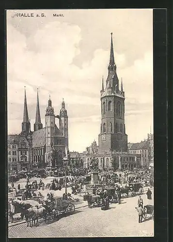 AK Hall a. S., Markt und Marktkirche, Kutschen