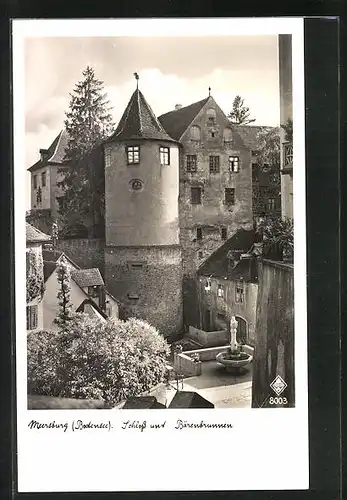 AK Meersburg /Bodensee, Schloss und Bärenbrunnen