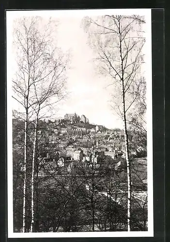 AK Marburg a. d. Lahn, Ortsansicht von der Bismarckpromenade aus