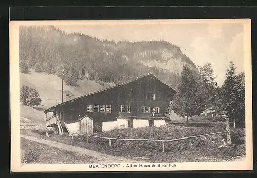 AK Beatenberg, Altes Haus und Birenfluh