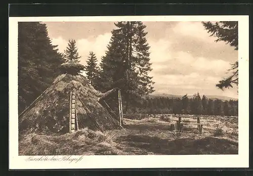 AK Hohegeiss, Köhlerhütte im Wald