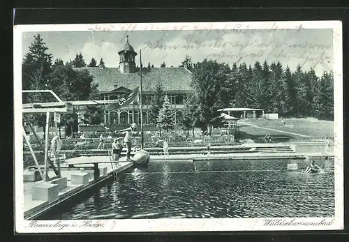 AK Braunlage i. Harz, Kinder im Waldschwimmbad