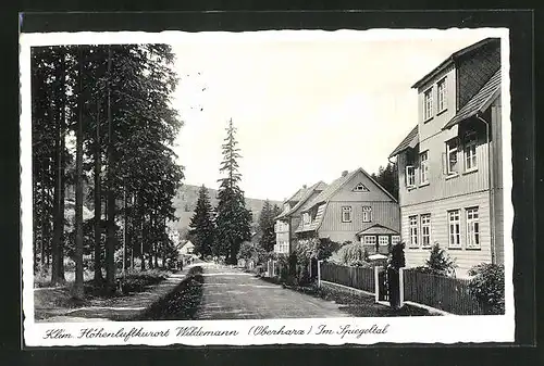 AK Wildemann i. Harz, Strassenpartie im Spiegeltal