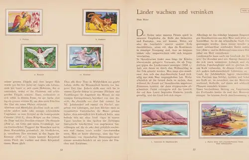 Sammelalbum 111 Seiten, Die Natur und ihre Geheimnisse Band 2, Nestle Peter Cailler Kohler