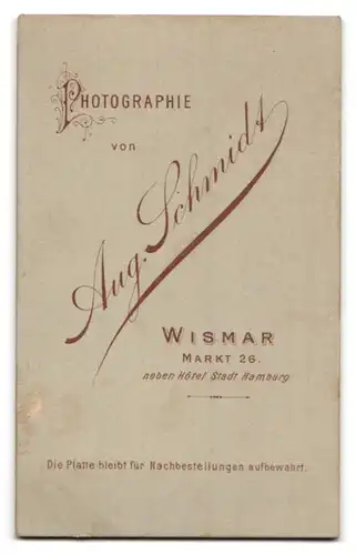 Fotografie Aug. Schmidt, Wismar, Markt 26, Portrait kleines Mädchen im karierten Kleid