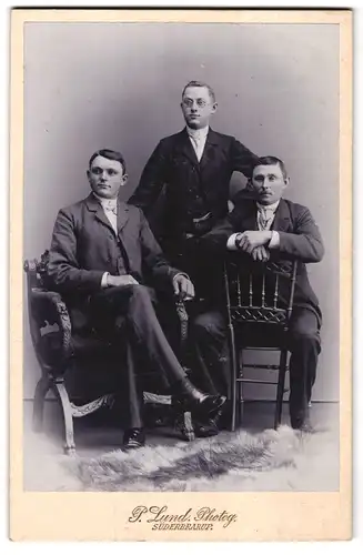 Fotografie P. Lund, Süderbrarup, Portrait drei junge Herren in Anzügen