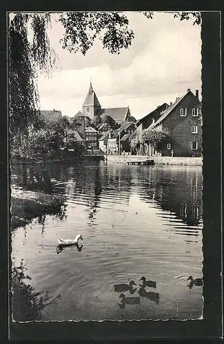 AK Mölln i. Lbg., Partie am Mühlenteich