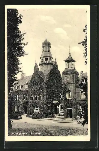 AK Kellinghusen, Rathaus mit Efeu bewachsen