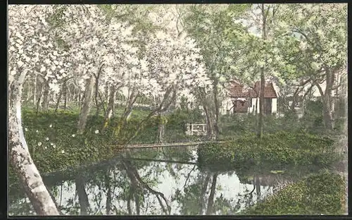 AK Jork, Kirschblüte im Altenlande