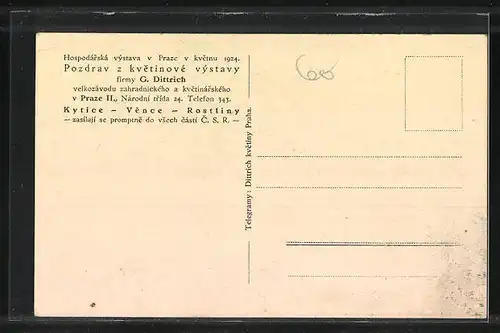 AK Prag, Ausstellung 1924, Stala kvetinova vystava firmy: G. Dittrich v. Praze, Narodni trida