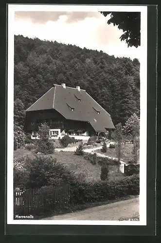 AK Herrenalb, Blick auf ein Gasthaus