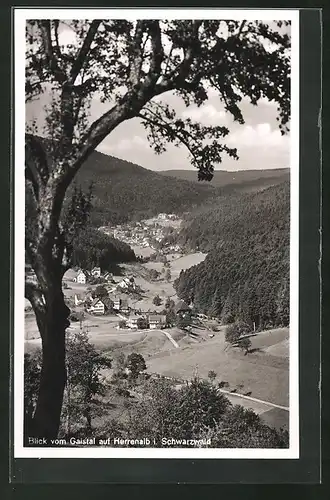 AK Herrenalb, Blick vom Gaistal auf den Ort